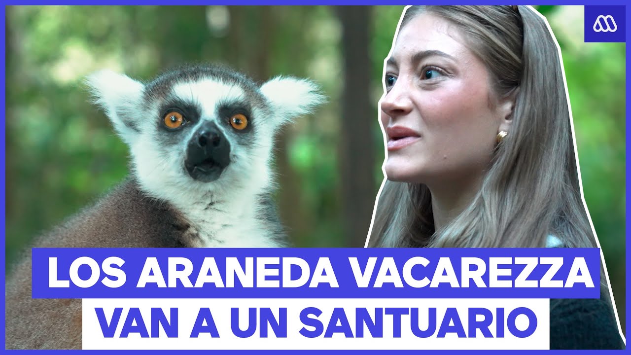 Los Araneda Vacarezza conocen 