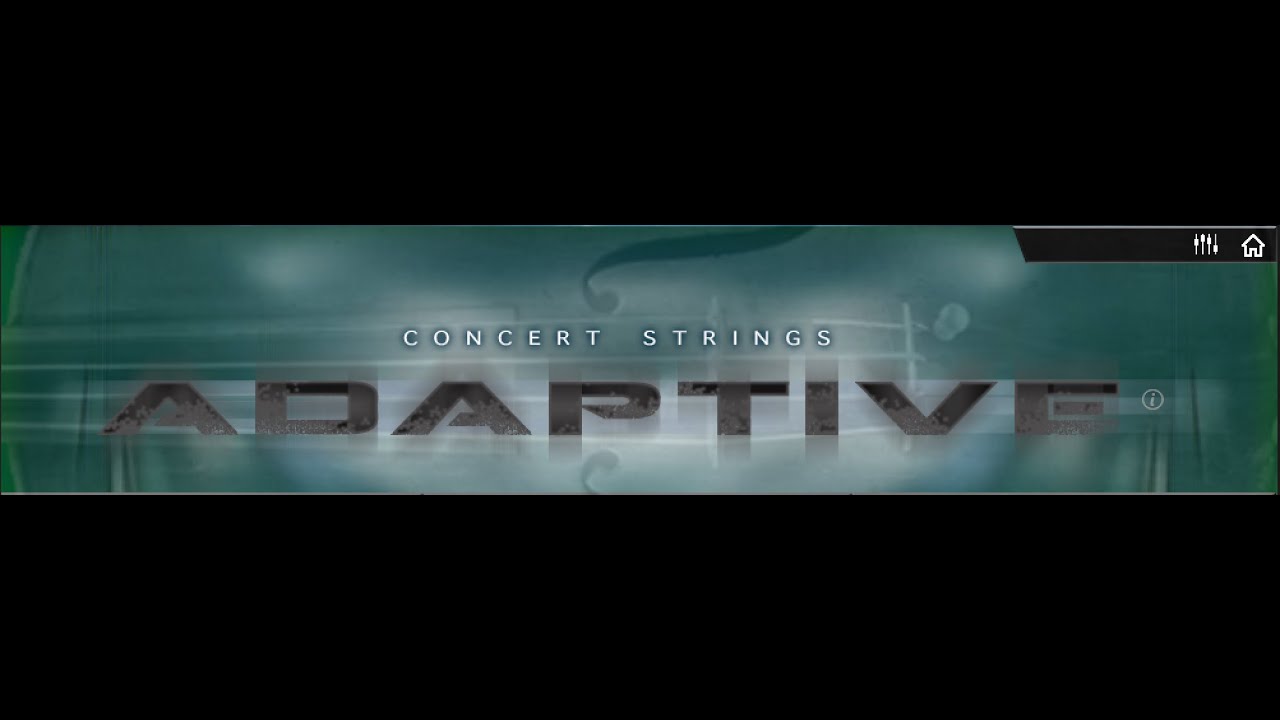 using kirk hunter adaptive concert strings out of the box