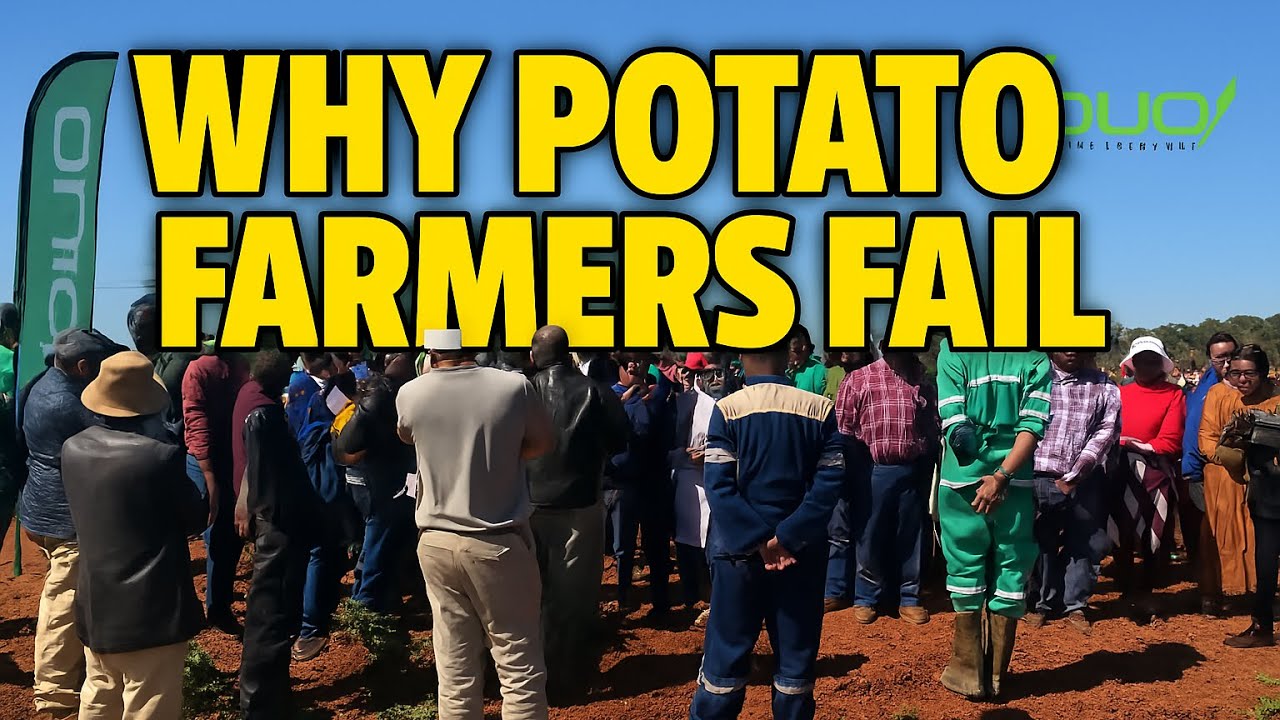 Why Potato Farmers fail 