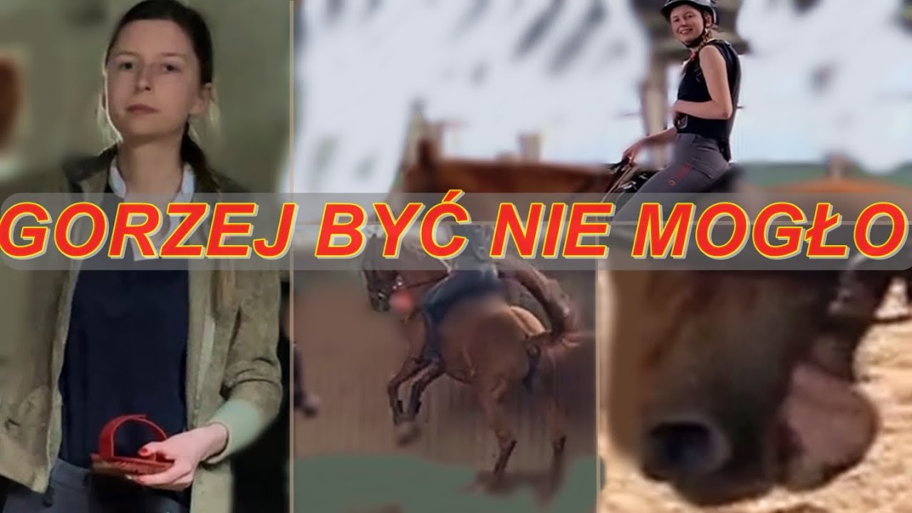 Dostałam kulawego konia! - Jak wyglądają szkółki jeździeckie...PRZYKRA PRAWDA...