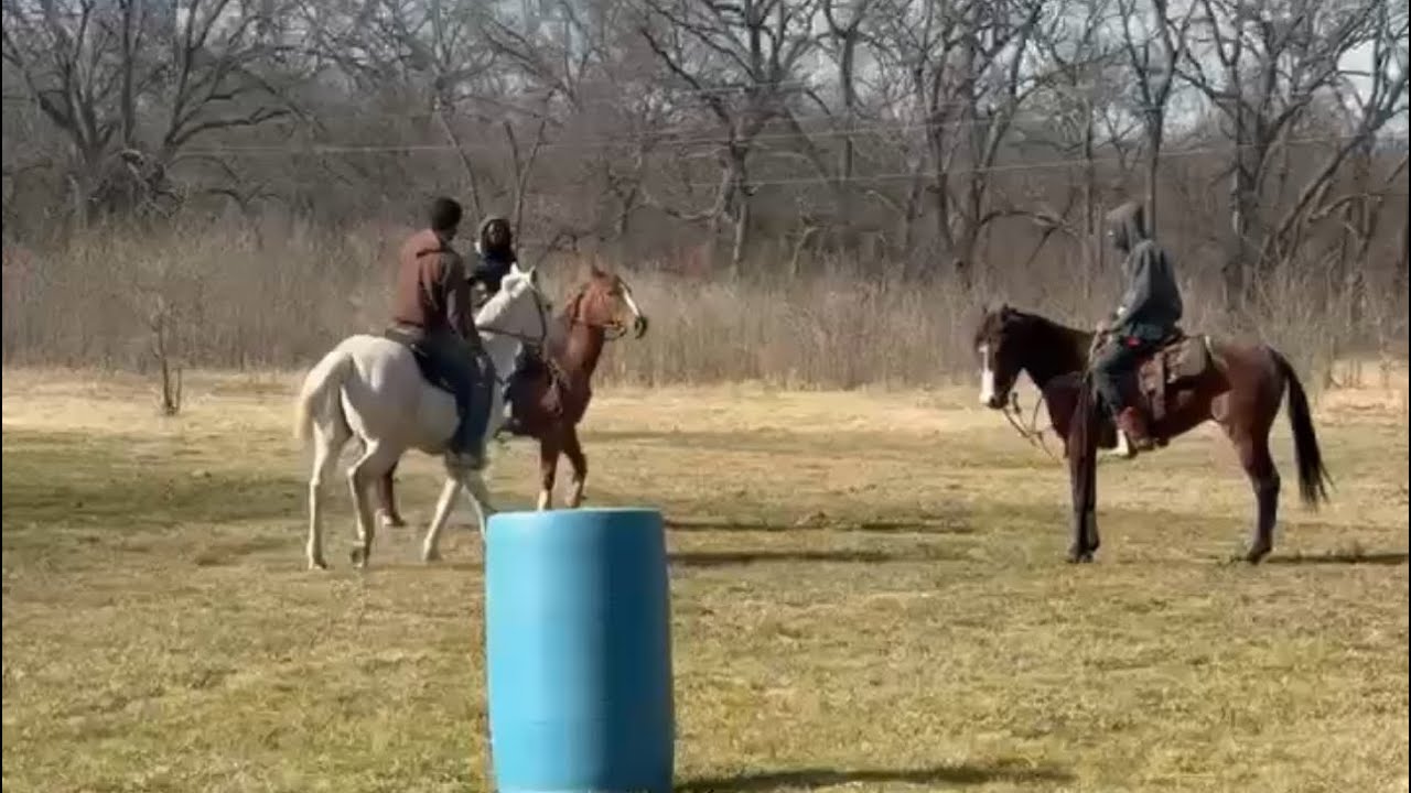 come with us to FLC Stables nd leg some horses up🐴‼️‼️(Must Watch)