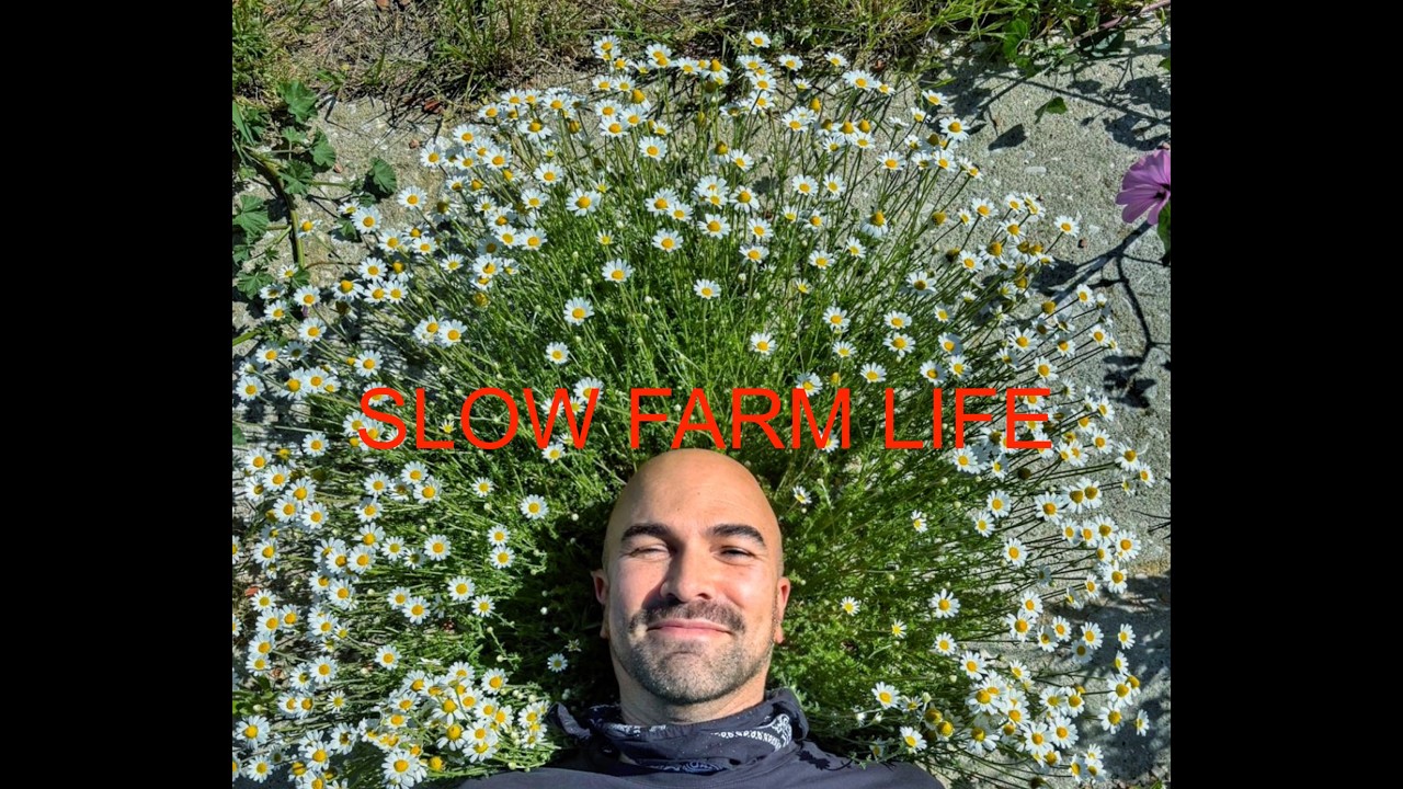 TAKE YOUR TIME TO ENJOY E RELAX
