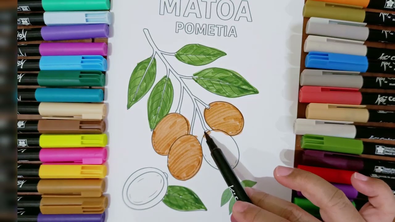 LET'S COLORING MATOA FRUIT | PAINTING FRUIT #satisfying #forkids #fun