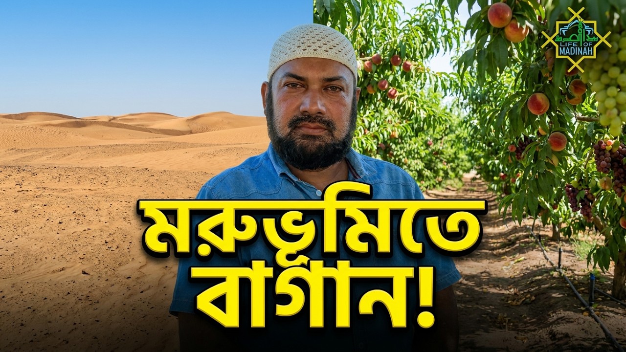 তাবুকের ফলের বাগান🌲🌾 মদিনায় কিভাবে আসে 🚛FRUITS GERDEN OF TABUK. লাইফ অফ মদিনা।Life of Madinah