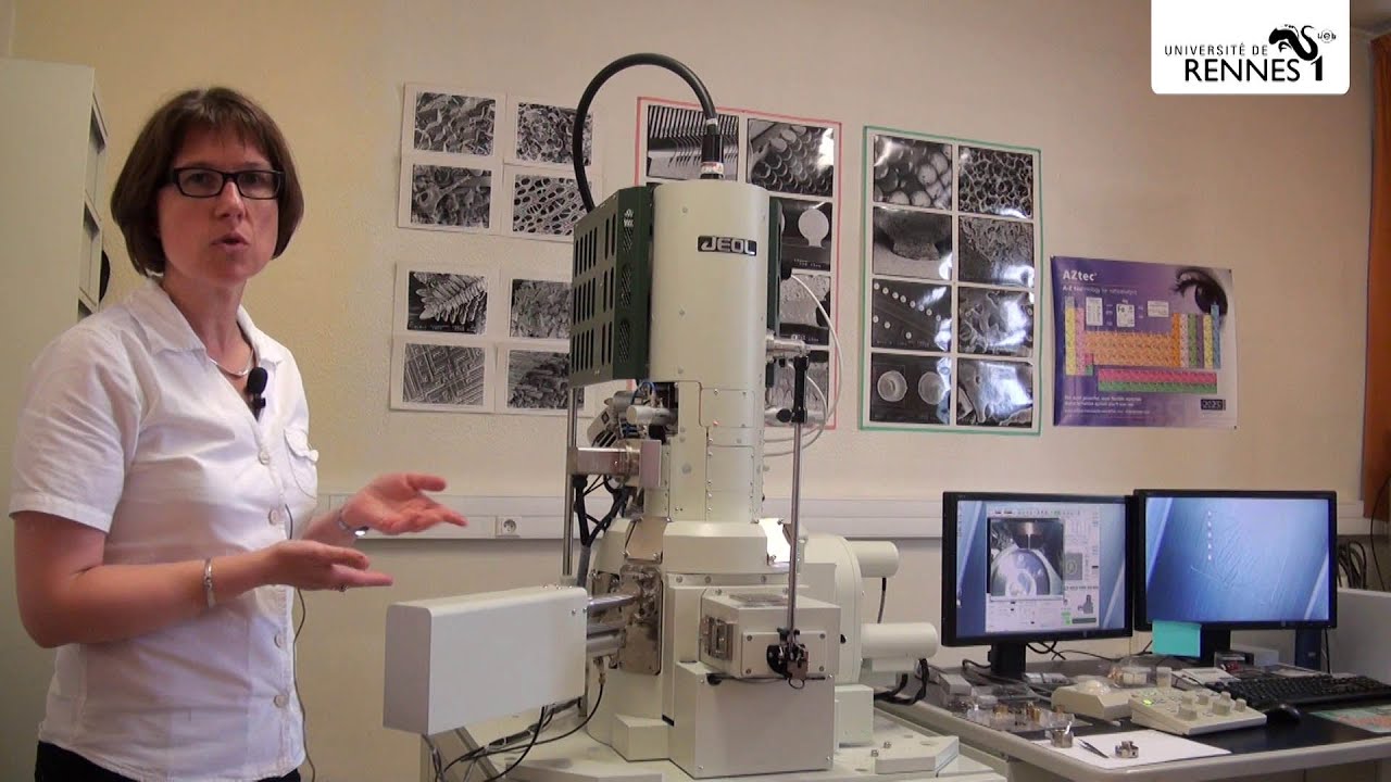 Le Centre de microscopies électroniques de l'Université de Rennes 1