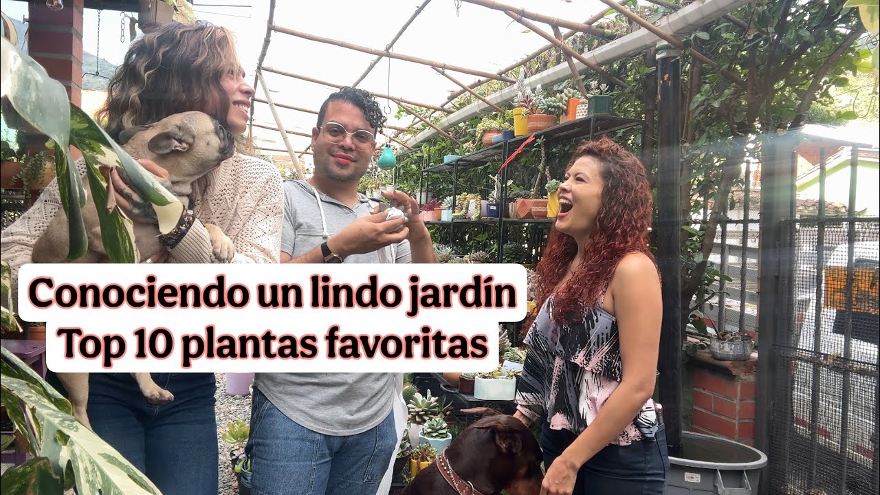 Top 10 plantas favoritas de @PlantaySanaVivero_  y conociendo su lindo jardín por primera vez 