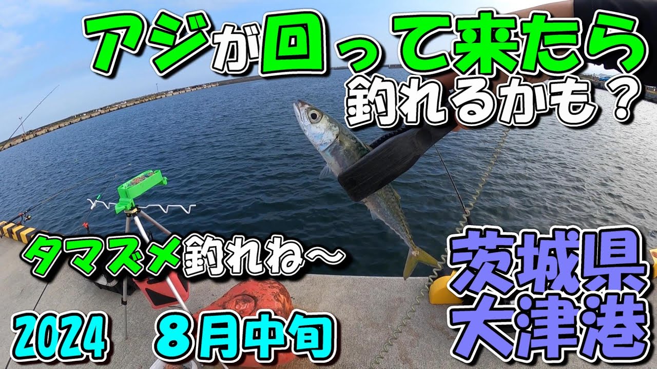 茨城県大津港　回って来ればアジ釣れるよ　夕マズメ撃沈　8月中旬　2024