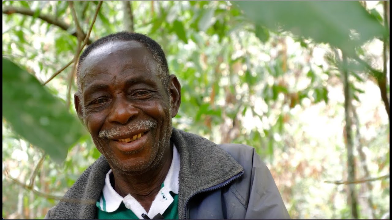 Immersion sur le terrain : à la rencontre d'Oko Papavi, producteur de cacao bio au Togo