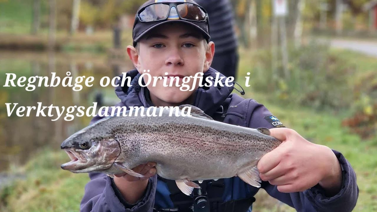 Flugfiske efter regnbåge och öring i Verktygsdammarna, Tyringe.