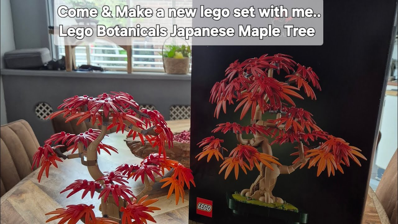 Come & Make a new lego set with me || Lego Botanicals Japanese Maple Tree || 10348