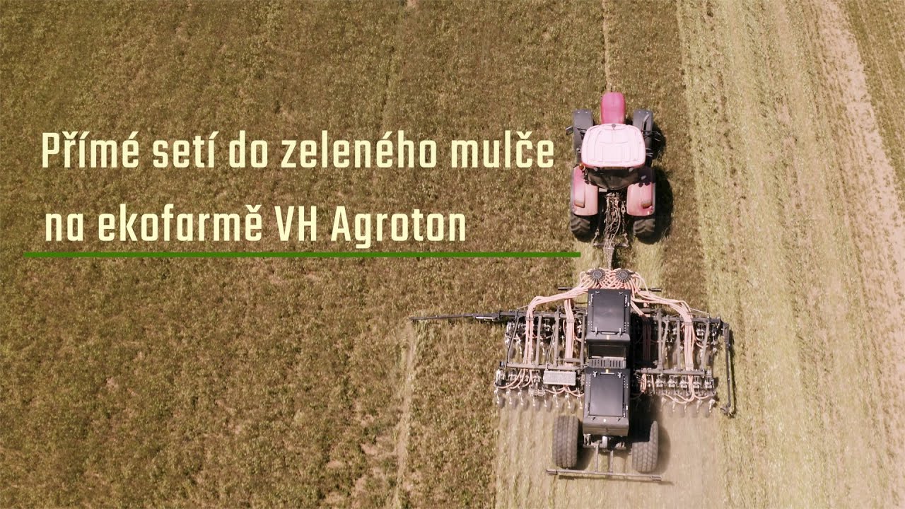 Přímé setí do zeleného mulče na ekofarmě VH Agroton