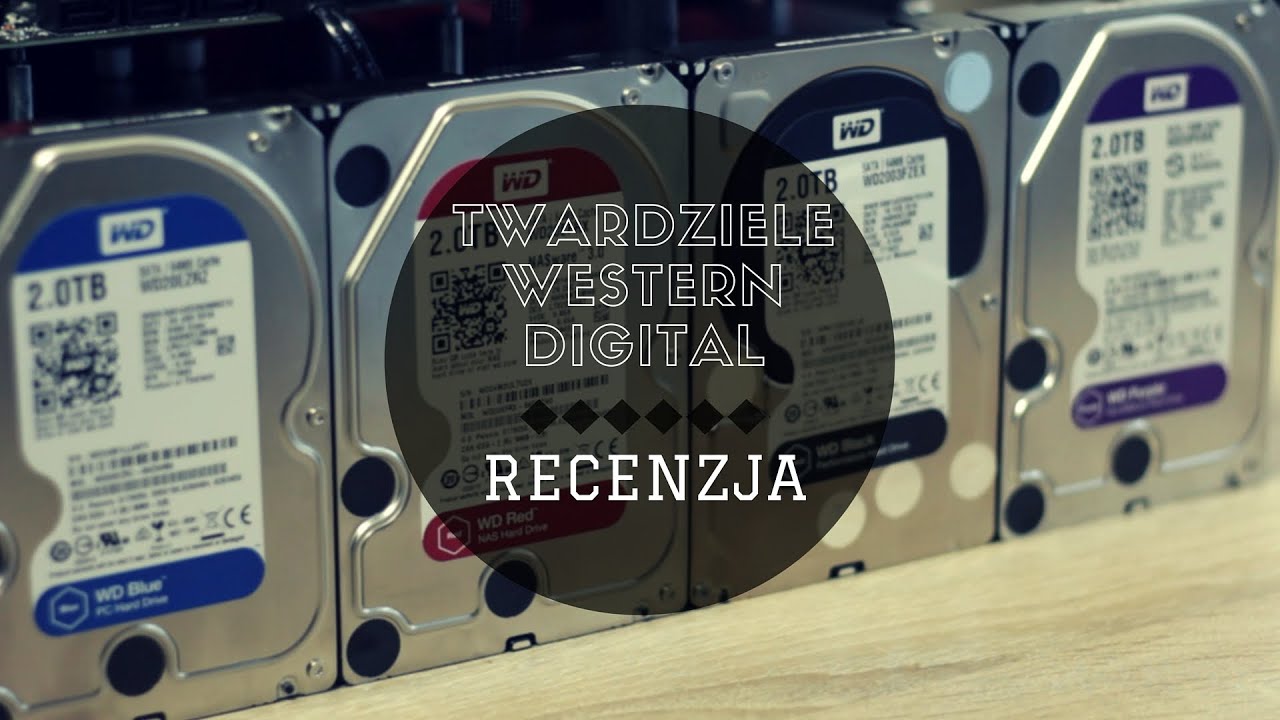 Recenzja dysk&oacute;w Western Digital - Blue, Red, Purple i Black