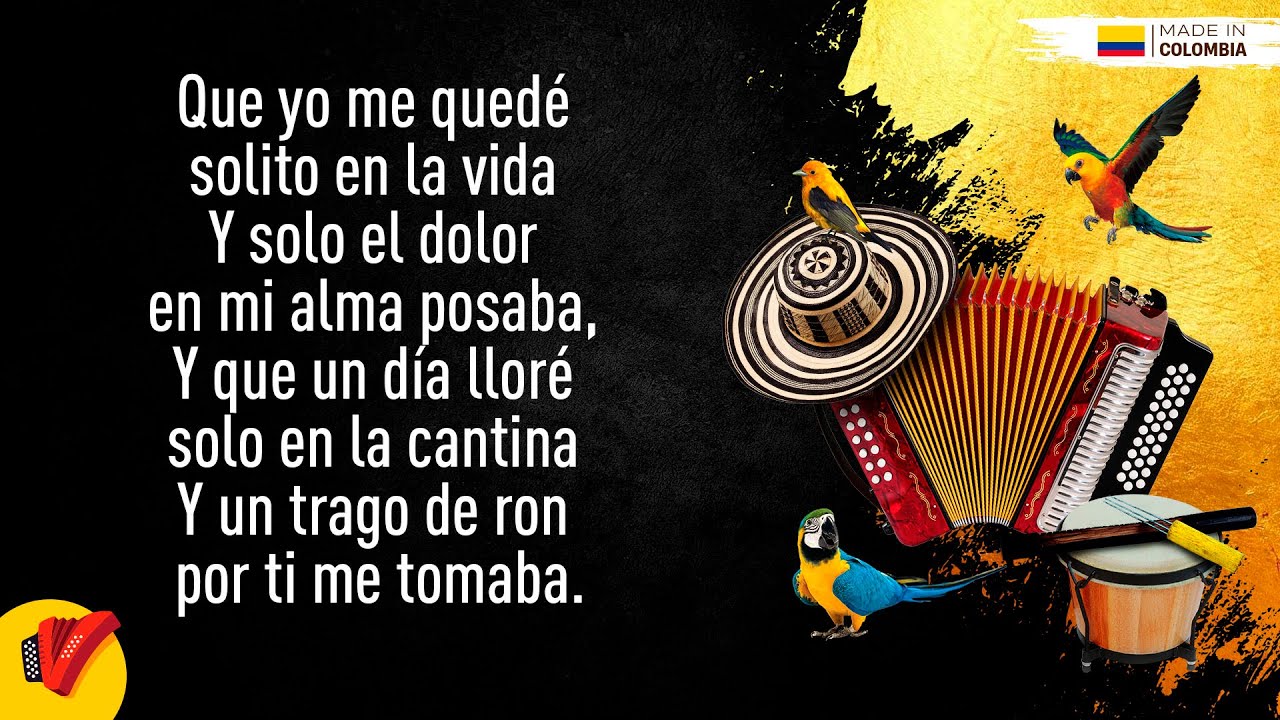 Solo En La Vida, Farid Ortiz, Video Letra - Sentir Vallenato