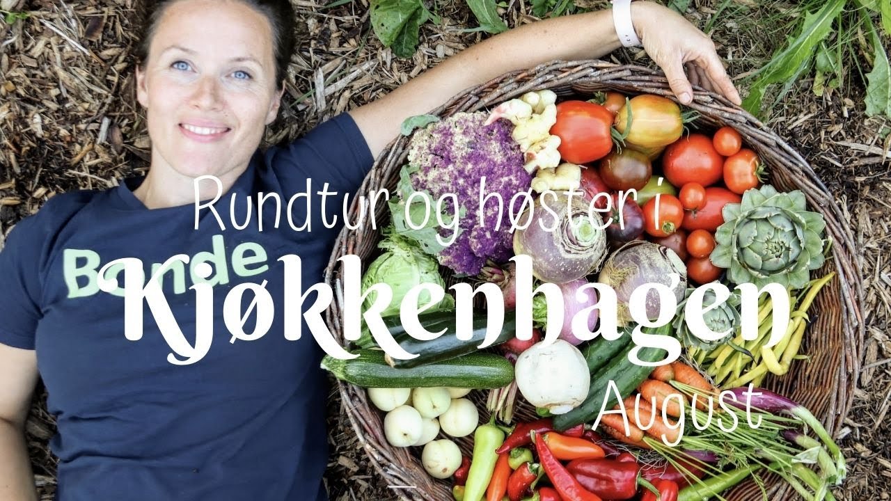Rundtur i en selvforsørgende kjøkkenhage i Molde