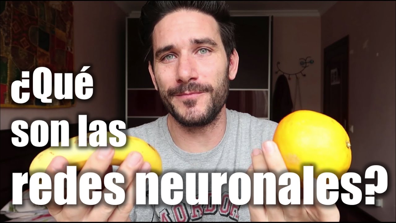 CienciaClip Challenge - &iquest;Qu&eacute; son las redes neuronales?
