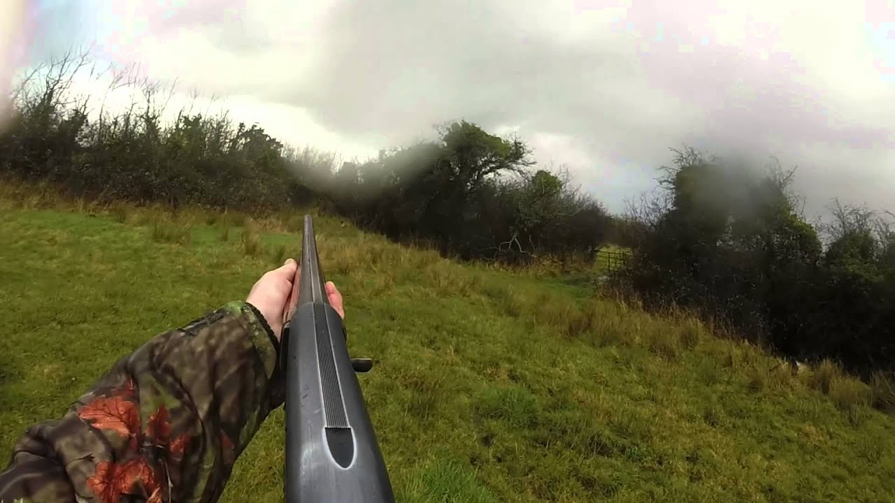 Rough Shooting Pheasant and Woodcock Ireland
