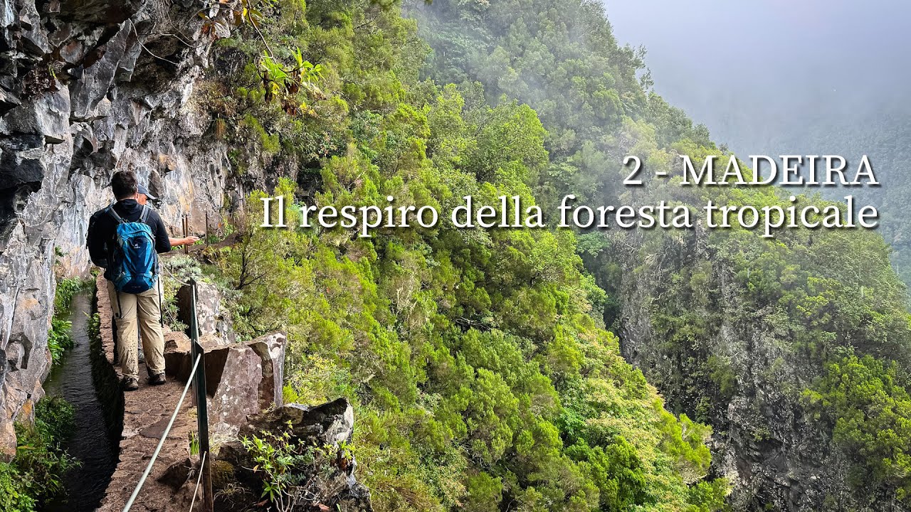 MADEIRA – Il respiro della foresta tropicale