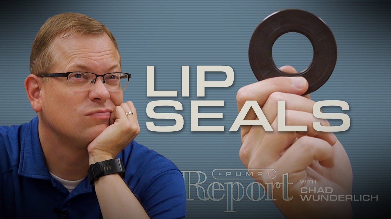 How Do Lip Seals Work?