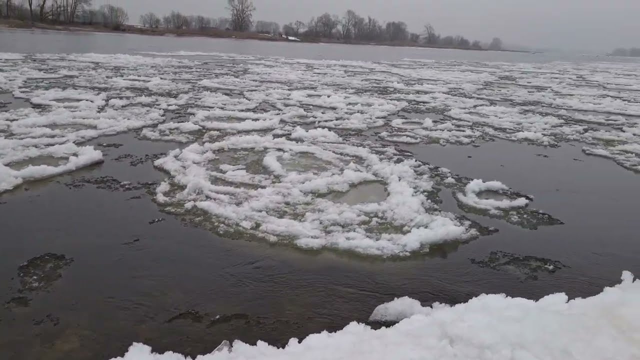 Arneburg Elbe ist voller runder ❄️ Eisschollen (am 25. Januar 2026)