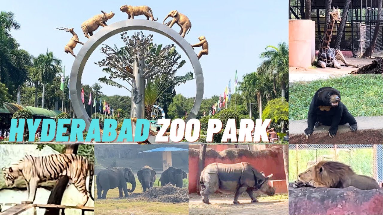 Nehru Zoological Park Hyderabad Full Tour 2024 | Hyderabad Attractions
