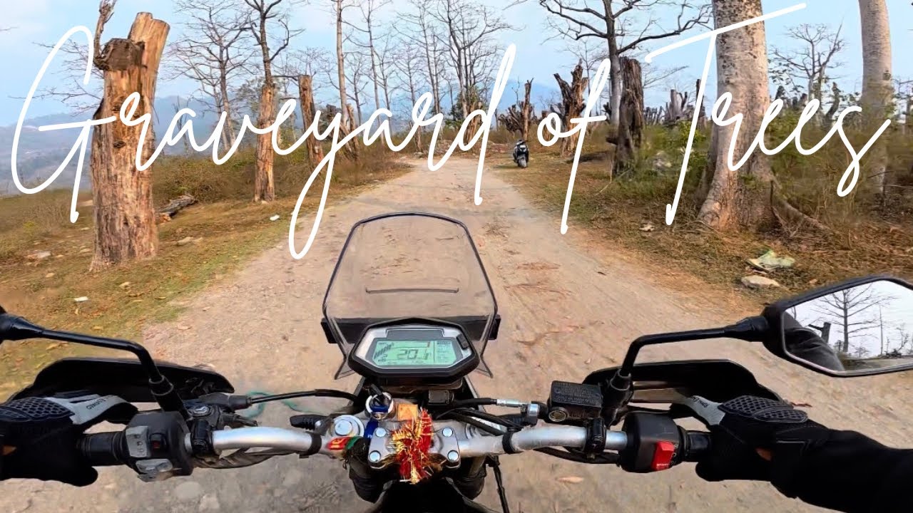 Vlog - 35 | Graveyard of Trees | @rawatuk007se #xpulse200 