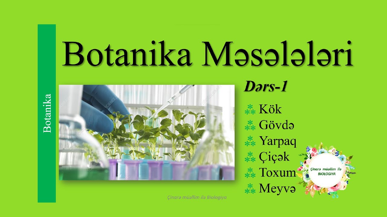 6cı sinif Botanika məsələləri (9 avqust 15:00)