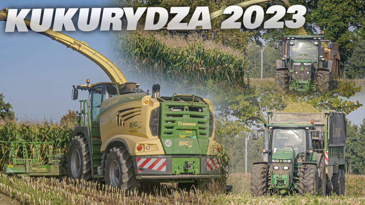 Koszenie Kukurydzy 2023🌽 GH Kossowski🔥 Agromix Rojeczyn