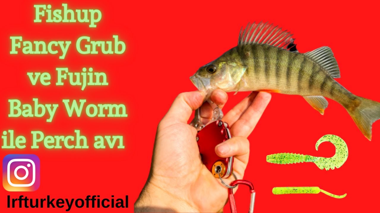 HERKES L&Uuml;FERE, BEN PERCH'E !!! - Fishup Fancy grub ve Fujin Baby Worm ile Perch avı.