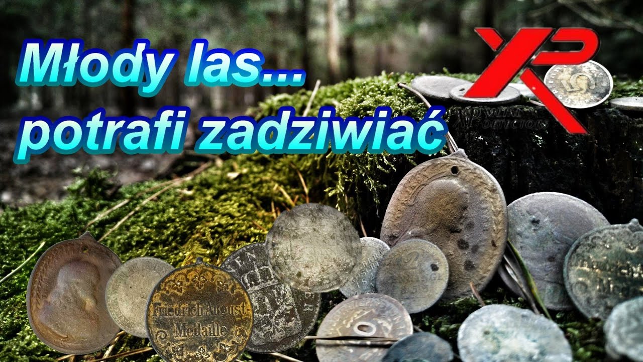 Wykopki Kotlina Kłodzka - 16.02.2022