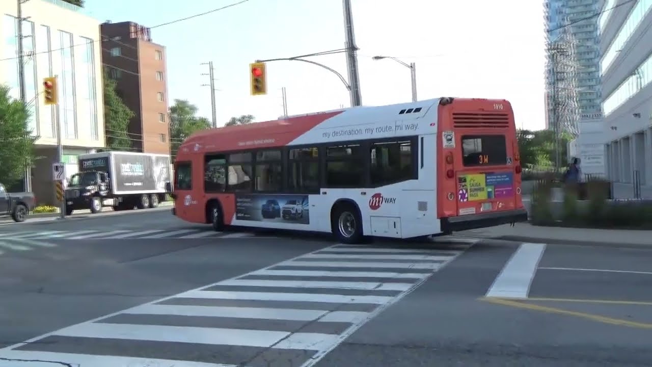 TTC & MiWay Buses: July, 2023