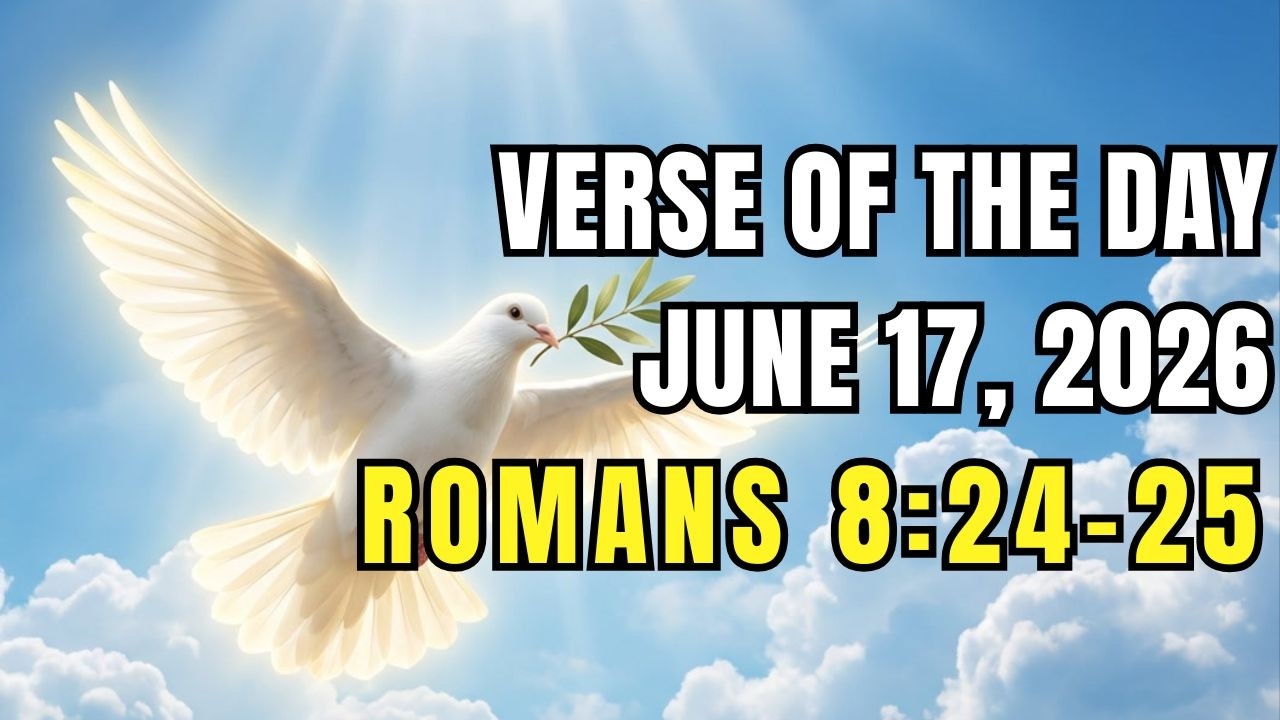 Стих дня, 17 июня 2026 г. (Римлянам 8:24&ndash;25)