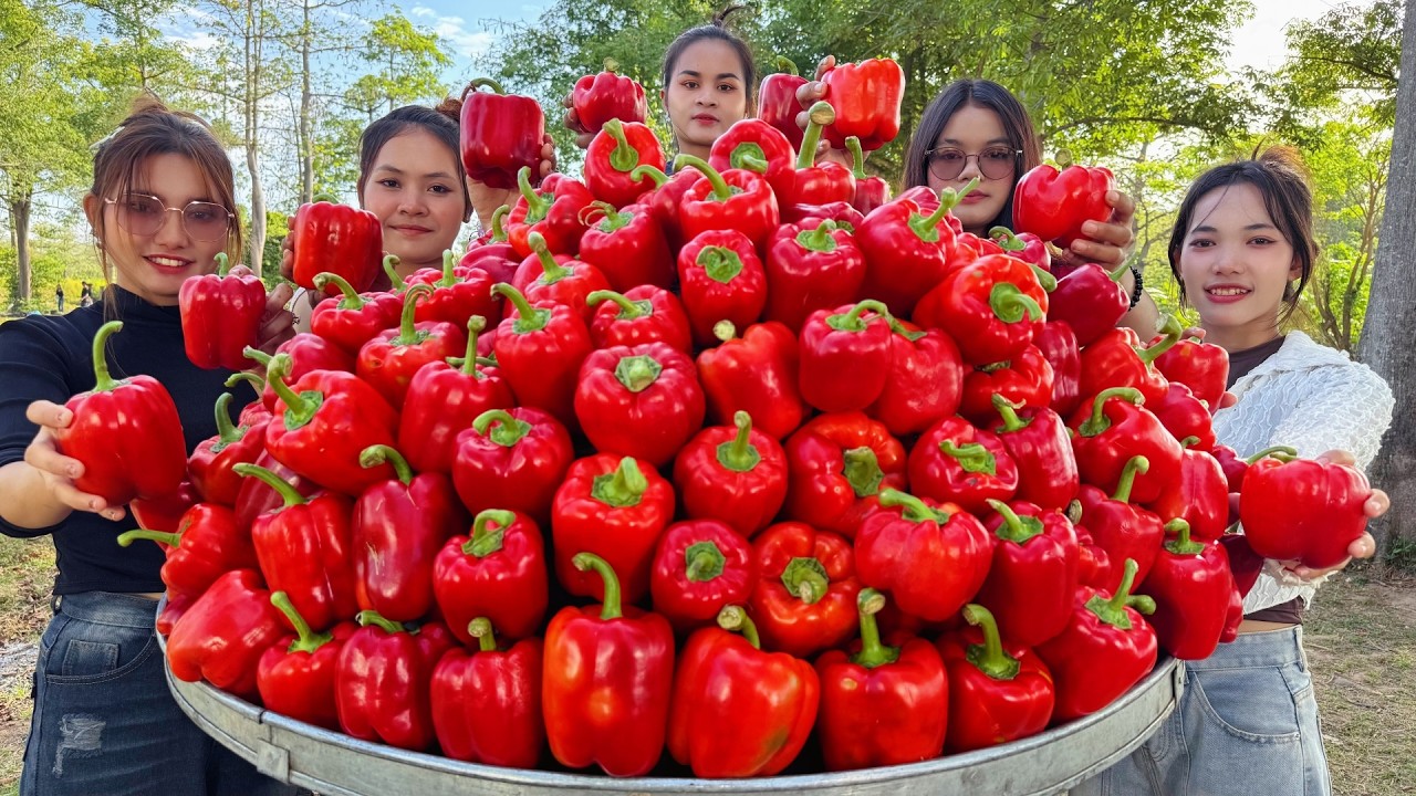 Amazing cooking steamed red chili recipe