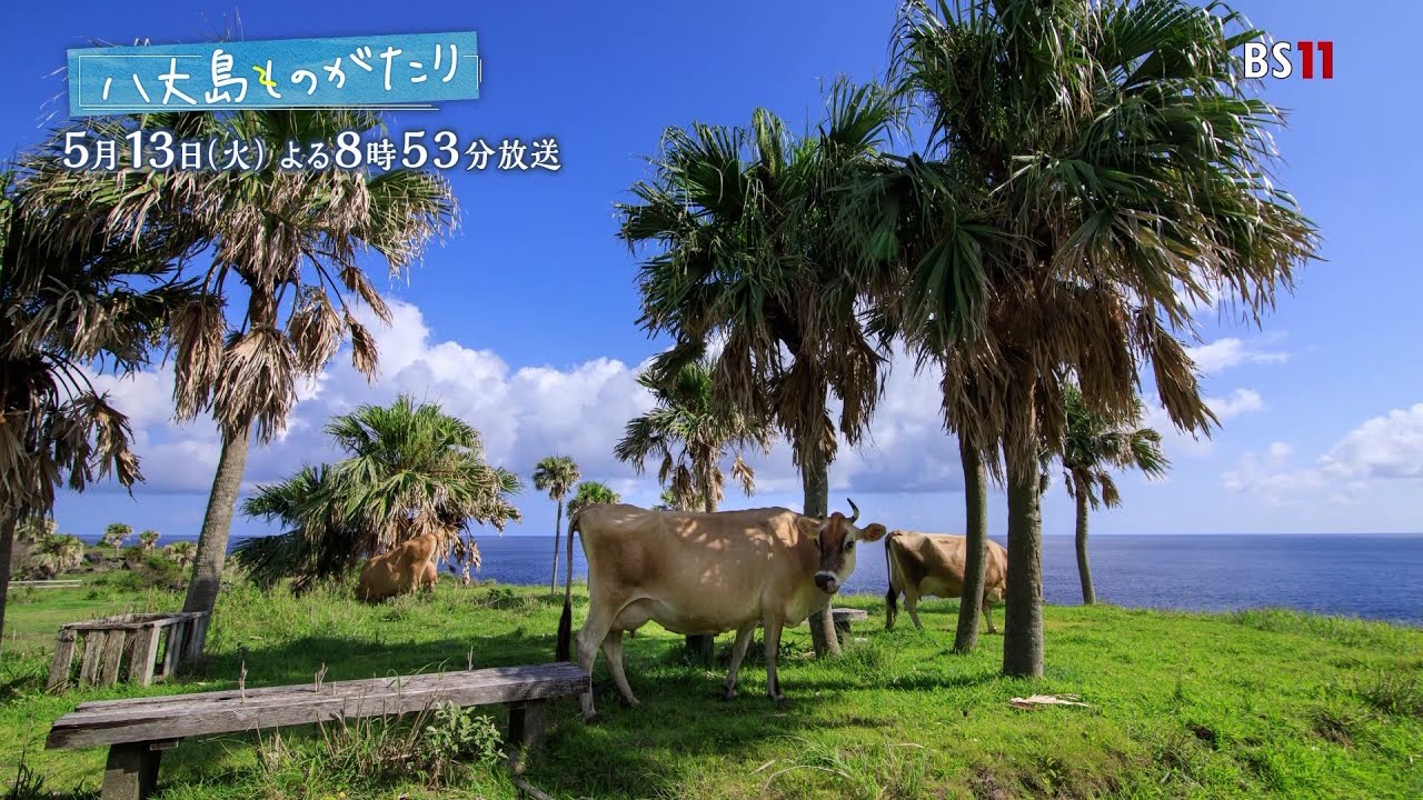 【アーカイブ配信】第2回 八丈島ものがたり 人と自然が紡ぐ 島の暮らし 出演：歌川 真哉さん