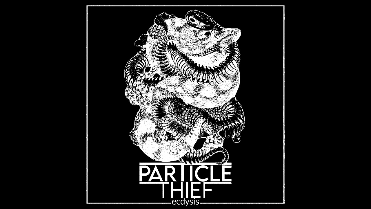 Particle Thief - ECDYSIS - ALBUM TEASER