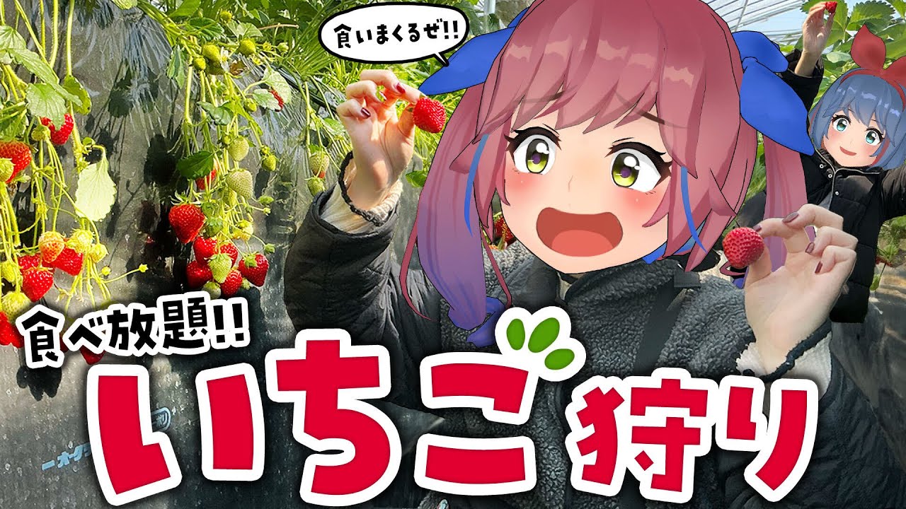念願のいちご狩り🍓どっちが多く食べられるか勝負や！！【制限時間30分】