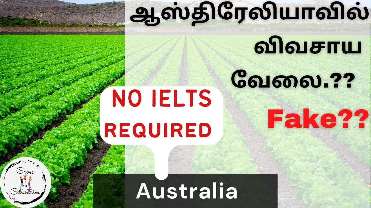 Fake or real? Australia Agriculture Visa| Australia farm Jobs| Growing global immigration chennai