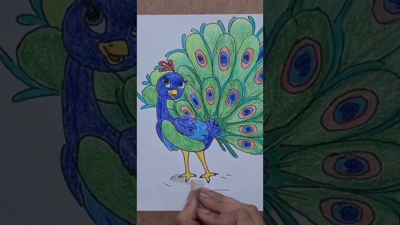 Peacock Drawing (Outline & Using Pencils Colour's) -With Body Parts Name -Draw Easly -Watch Full..👇