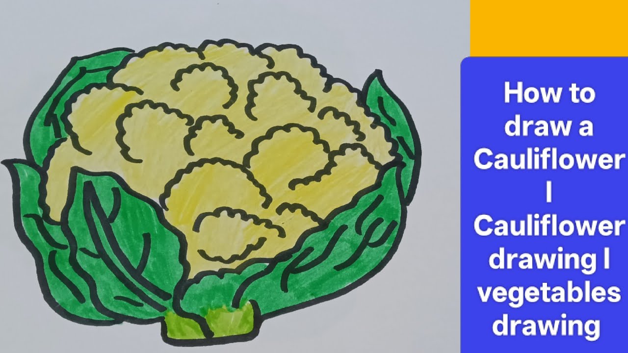 How to draw cauliflower l Vegetables drawings for children l step by step children drawing tutorials