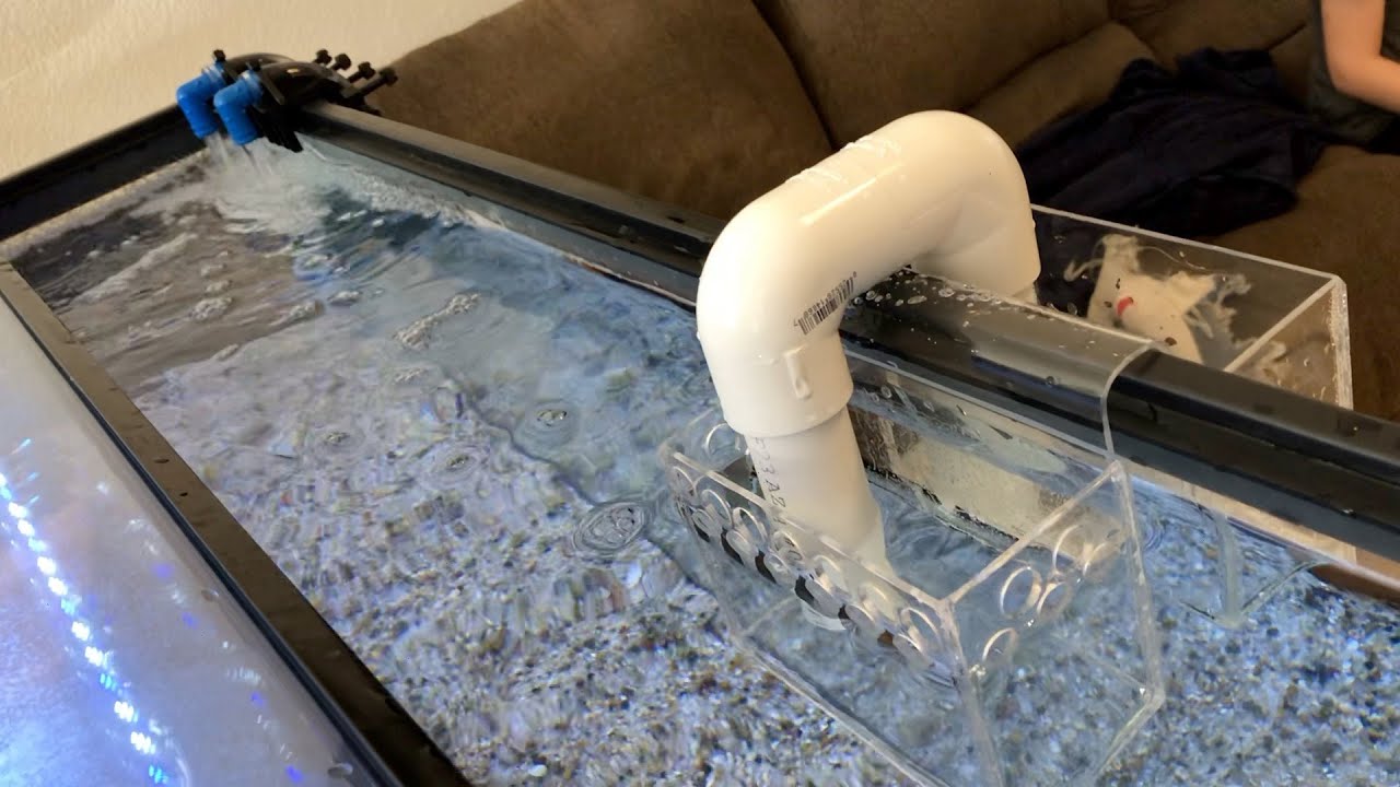 20 GALLON SUMP BUILD PART 1, OVERFLOW BOX!