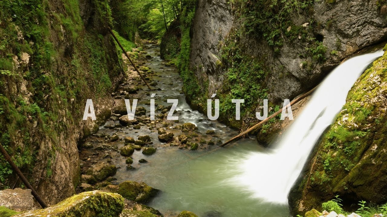 PÁDIS - A víz útja