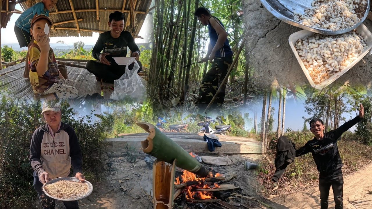 ขื้นพูหาอาหารสั้นสูง/ຂື້ນພູຫາອາຫານສັ້ນສູງ