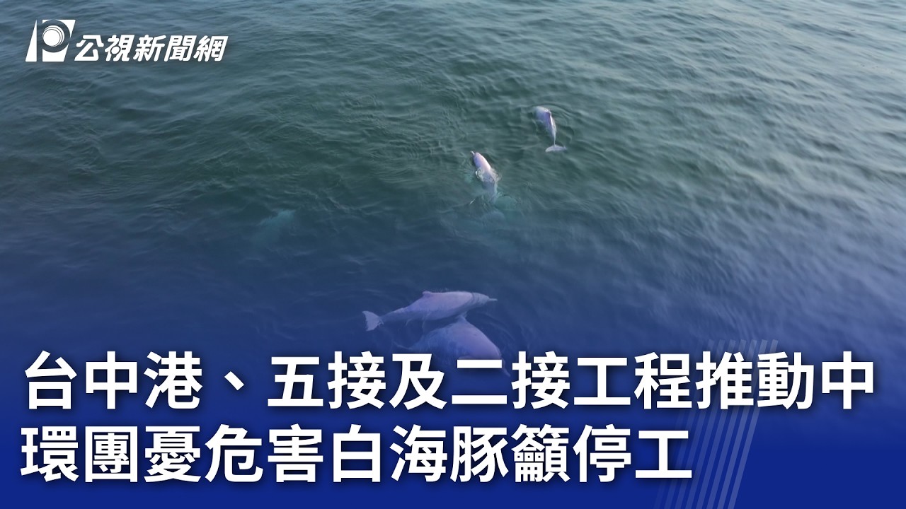 台中港、五接及二接工程推動中 環團憂危害白海豚籲停工｜20260306 公視晚間新聞