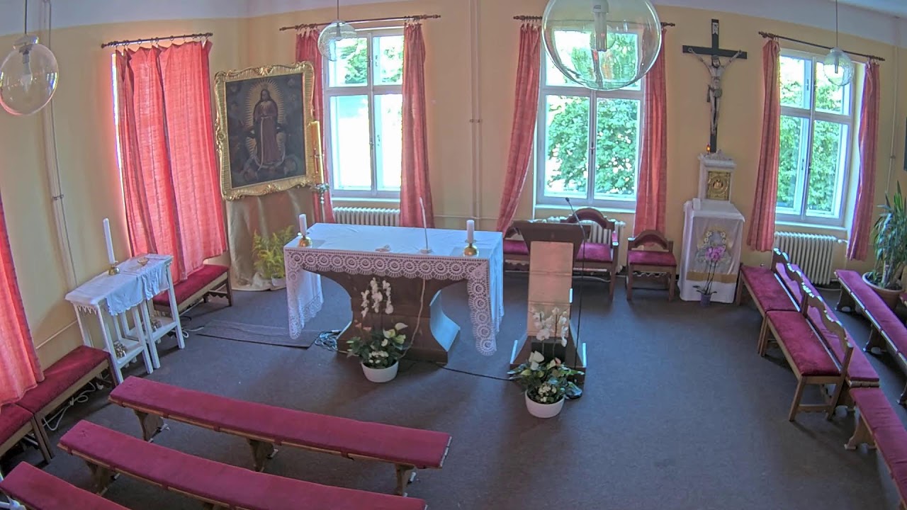 Klokoty živě