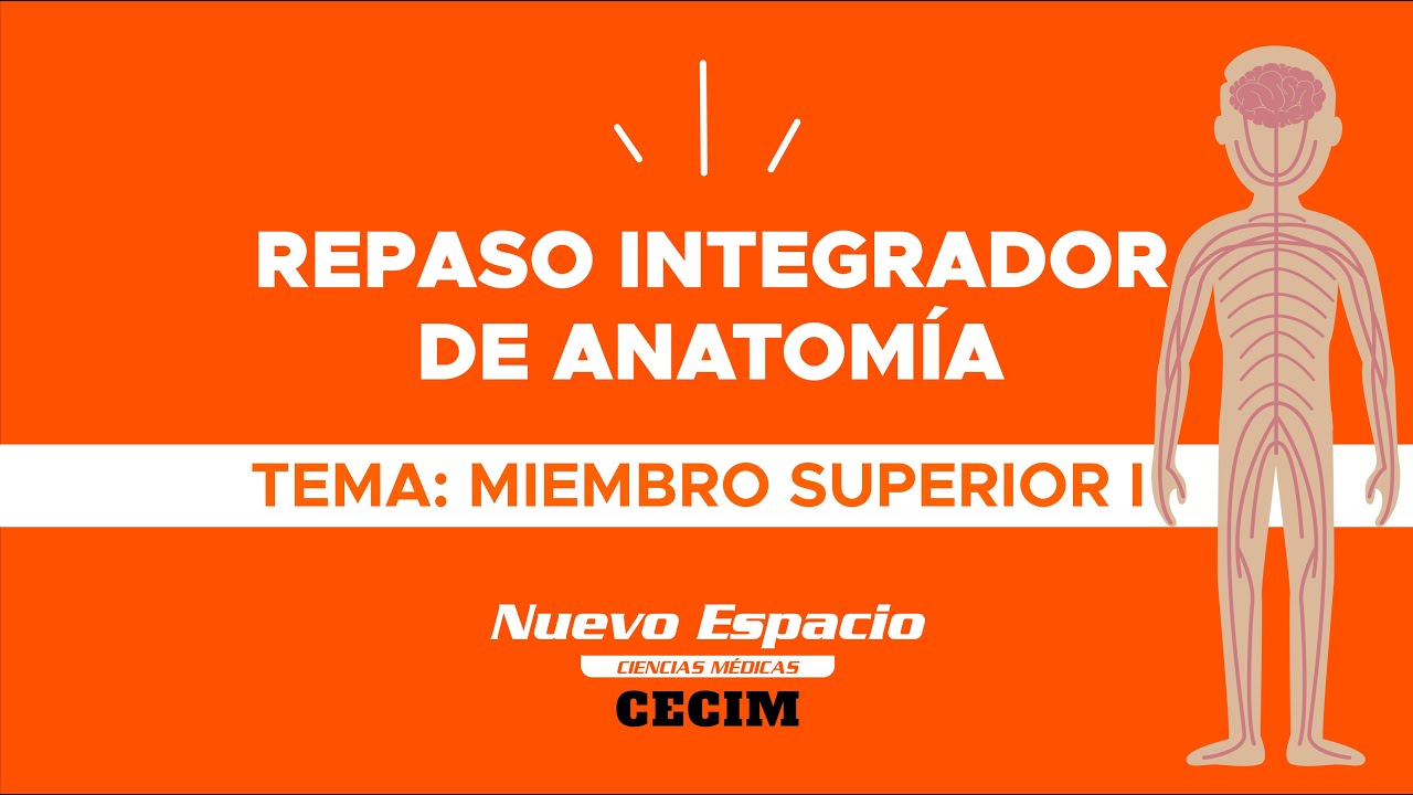 MIEMBRO SUPERIOR I - Repaso integrador de Anatomía