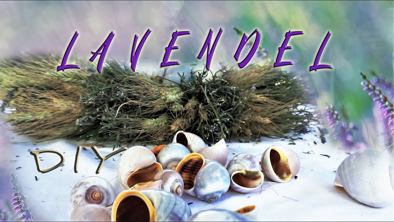 💜 Dekoideen mit LAVENDEL DIY | Teil 2 - Kreative Kränze und vielseitige Gestaltungstipps in violett💜