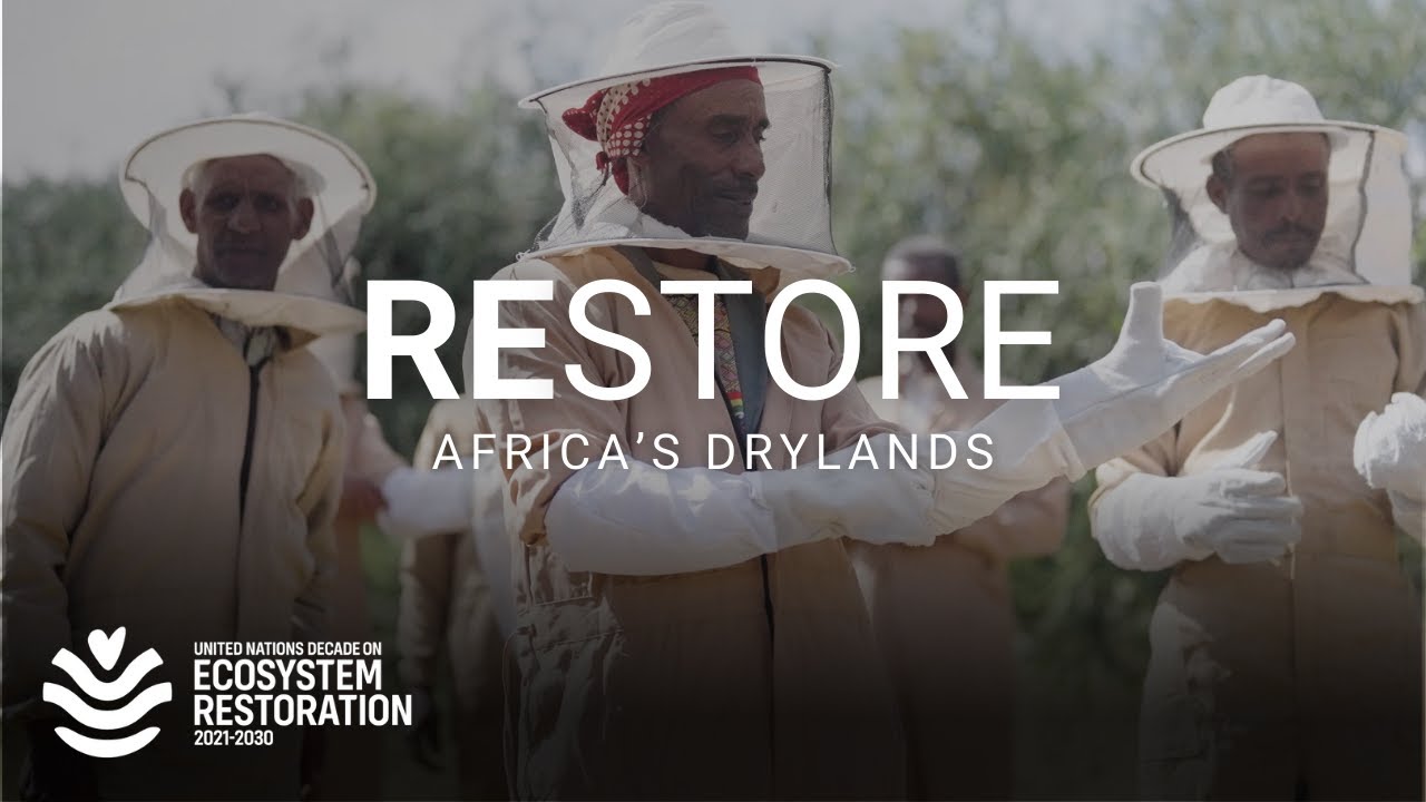 How to unlock the climate and food security potential of Africa’s drylands