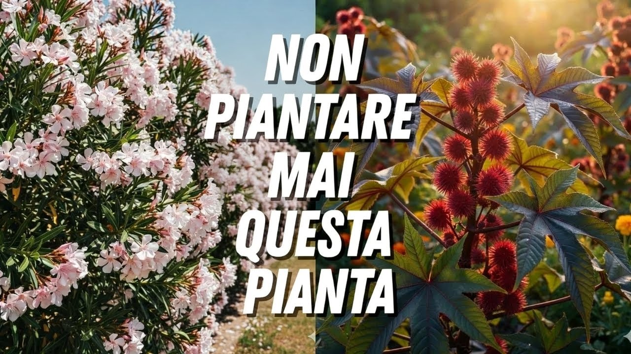 7 piante che non dovresti mai coltivare nel tuo giardino