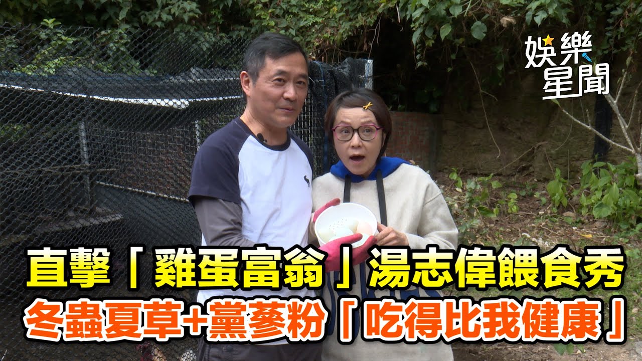 直擊「雞蛋富翁」湯志偉餵食秀　冬蟲夏草+黨蔘粉「吃得比我健康」｜三立新聞網 SETN.com