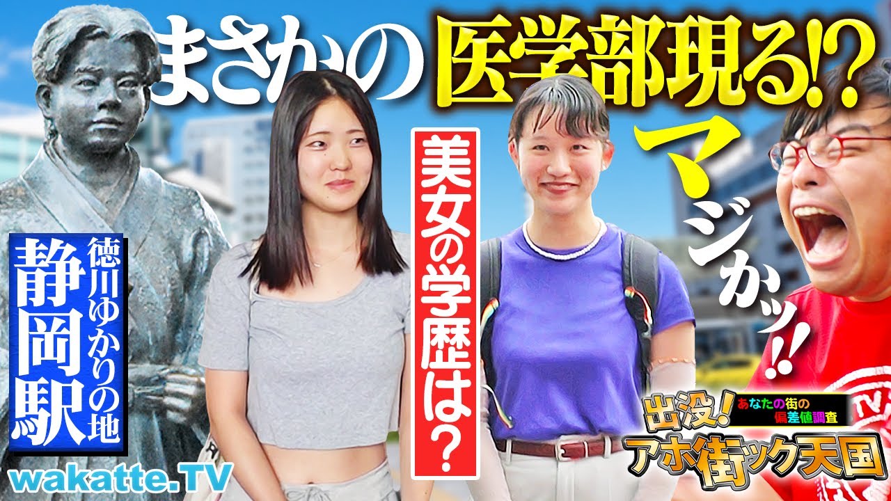 【美女×医学部!?】静岡駅前で偏差値聞いてたらガチすぎた…！徳川ゆかりの地静岡でアホ街ック天国【wakatte TV】#1281