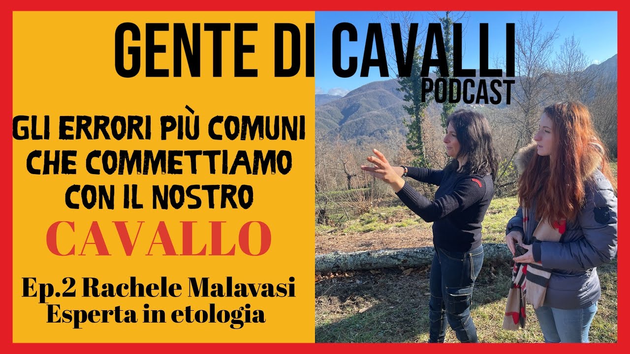 Ep2.Non commettere questi errori con il tuo Cavallo!  Etologia equina  con Rachele Malavasi